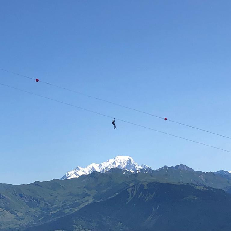 photo tyro vu mont blanc - Modifié